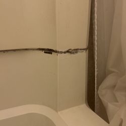 Tidewater Motel - mold