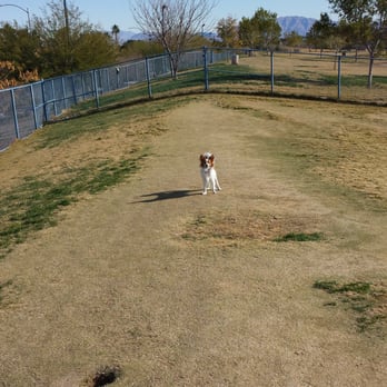 Kellogg Zaher Dog Park - Dog Parks Near Me - Las Vegas, Nevada Kellogg Zaher Dog Park - Dog Parks Near Me - Las Vegas, Nevada