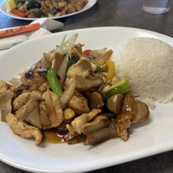 Chaiyo Thai Cuisine  - Pad Hed (Mushroom)