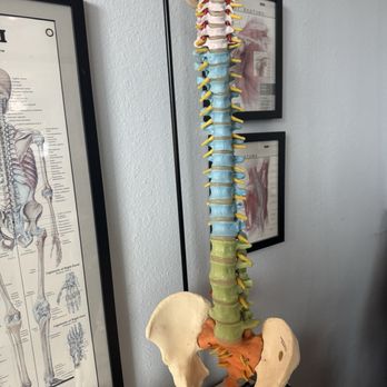 Longevity Chiropractic & Wellness Lounge - This represents the beautiful dictation of the human spine. It is indeed very intriguing to look at. - Chiropractors Near Me - Carlsbad, California Longevity Chiropractic & Wellness Lounge - This represents the beautiful dictation of the human spine. It is indeed very intriguing to look at. - Chiropractors Near Me - Carlsbad, California