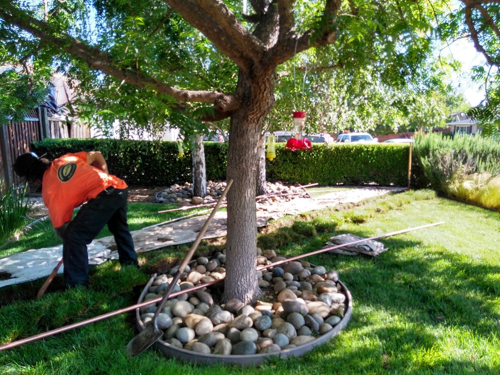 Slide of Dempster Plumbing