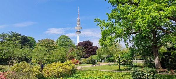 Planten un Blomen by null