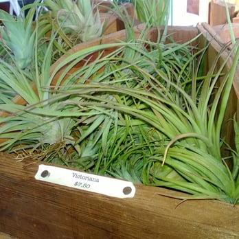 Pigment - Home Decor Near Me - San Diego, California