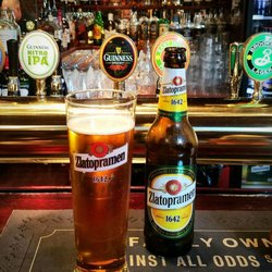 Old Beefeater Inn - The house beer is the classic Zlatopramen from the Czech Republic...whaaaaat? Only 57kr! Amazing!