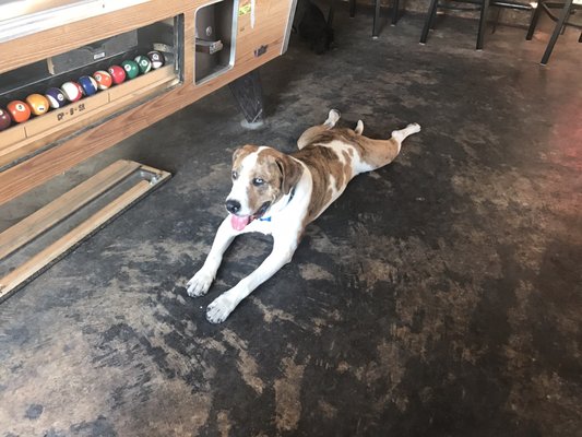 Underdogs Pub by null