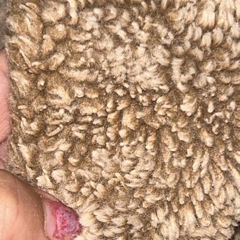 SpinXpress Laundry - Walzem - Blanket is melted 100% Polyester usually soft now feels like  hard micro-fiber - Laundromat Near Me - San Antonio, Texas