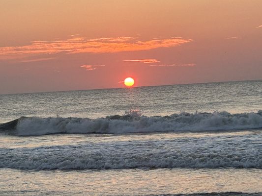 Main Beach Park by null