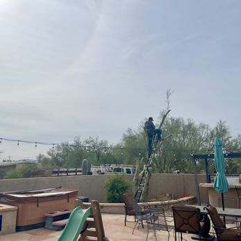 The Cutting Edge Tree Service & Landscaping - What he was having to work with! Breakables aka easily damaged all around him. And was able to bring the tree down without issue! - Landscaping Near Me - Tucson, Arizona The Cutting Edge Tree Service & Landscaping - What he was having to work with! Breakables aka easily damaged all around him. And was able to bring the tree down without issue! - Landscaping Near Me - Tucson, Arizona