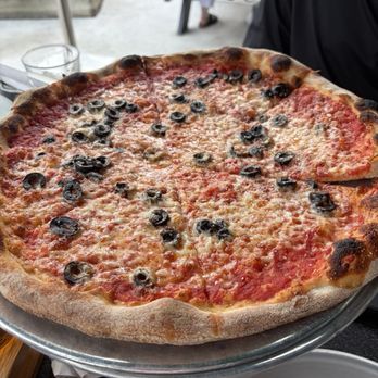Ponysaurus Brewing Co - Cheese Pie Base - Breweries Near Me - Raleigh, North Carolina Ponysaurus Brewing Co - Cheese Pie Base - Breweries Near Me - Raleigh, North Carolina