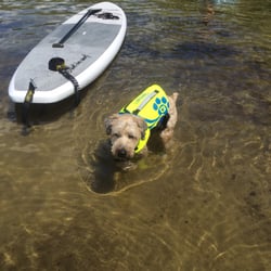 Patty's Water Sports