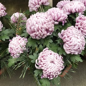 Kim's Nature - Nurseries & Gardening Near Me - Markham, Ontario