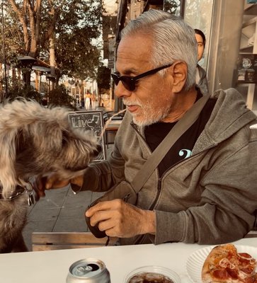 Little Coyote by null Little Coyote by null