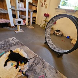 The Pretty Paw Lounge