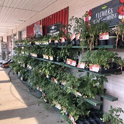 Martinsville Ace Hardware - Flowers, Vegetables and Herbs