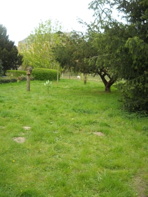 Potager du Roi by null