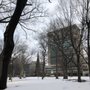 Photo of Washington Park