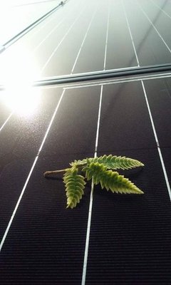 Too Clean Solar & Electric Logo