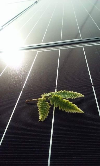 Slide of Too Clean Solar & Electric