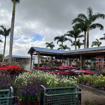 Flamingo Road Nursery - Nurseries & Gardening Near Me - Davie, Florida