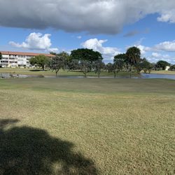 Flamingo Lakes Golf Course - Greens