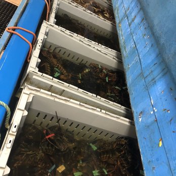 168 Seafood Market - a row of crates filled with lobsters - Seafood Markets Near Me - Lowell, Massachusetts