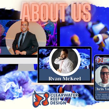 Clearwater Reef Design - Aquarium Services Near Me Clearwater Reef Design - Aquarium Services Near Me