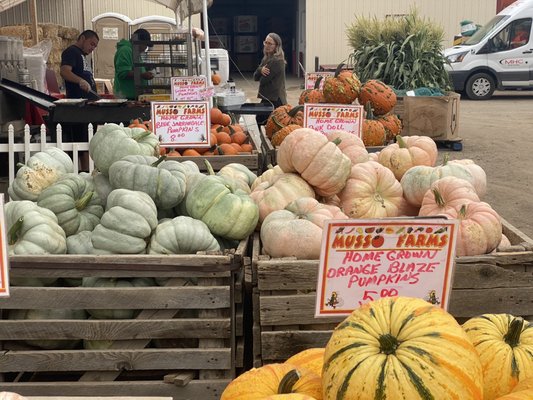 Musso Farms by null