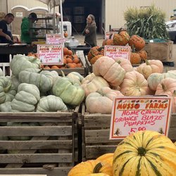 Musso Farms - Pumpkins!!