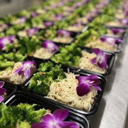 Plant Based Meals