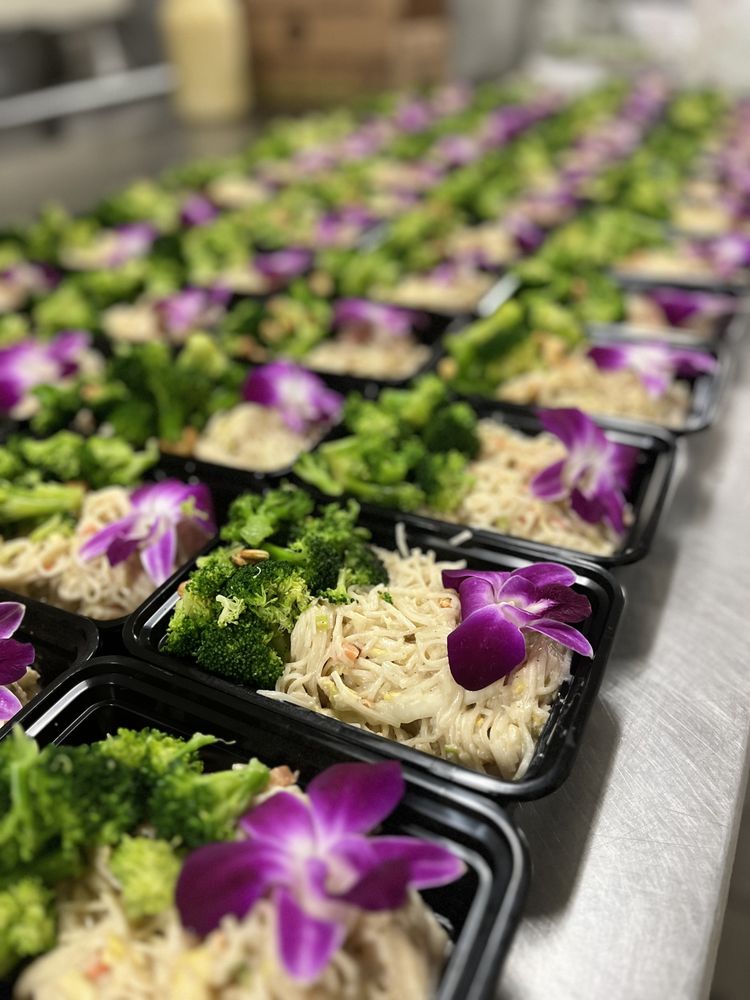 Plant Based Meals Logo
