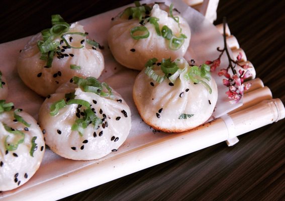 Journey To The Dumpling by null