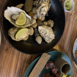 Maria Peixeira - Raw Oysters and Tuna tartare