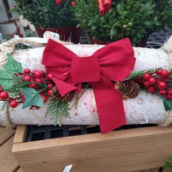 Hicks Nurseries - Yule log - Nurseries & Gardening Near Me - Westbury, New York