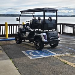 Electric Golf Car Company