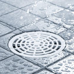 Pro Master Real-estate, Trucks, Sewer & Plumbing