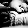 Photo of Lauhala Photography & Design