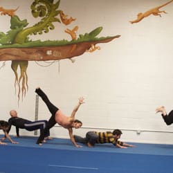 Monkey Conditioning
