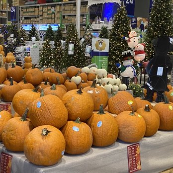 Lowe's Home Improvement - It has begun! Best of both worlds. Here's to the holidays! - Nurseries & Gardening Near Me - Brandon, Florida Lowe's Home Improvement - It has begun! Best of both worlds. Here's to the holidays! - Nurseries & Gardening Near Me - Brandon, Florida
