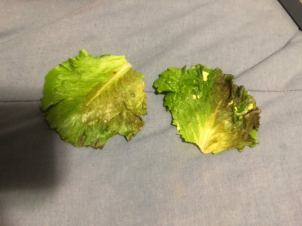 Food from McDonald's