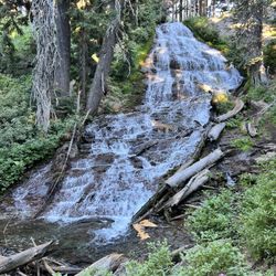 Umbrella Falls Trail - Umbrella Falls