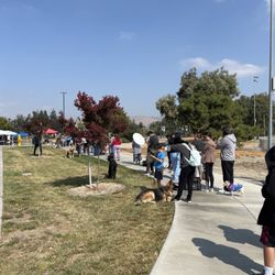 Cheap Shots Pet Vaccine Clinic - slow moving long lines
