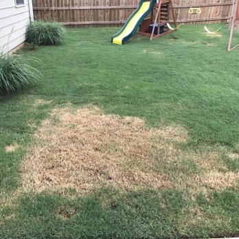 TruGreen Lawn Care - This is what happened to our once VERY green yard after they came out to fertilize it! They made it worst! - Tree Services Near Me - Suwanee, Georgia