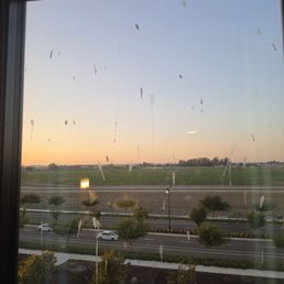 Bird shit all over our window!