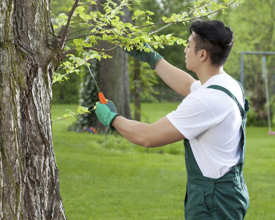 Tony J. Bricker Tree Service - tree service in Fort Wayne, IN