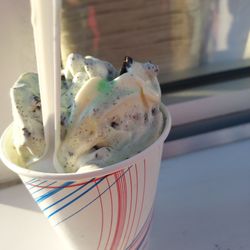 Dell's Sundae Grill - Mint oreo arctic