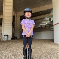 Aurum Equestrian - Dreaming of riding