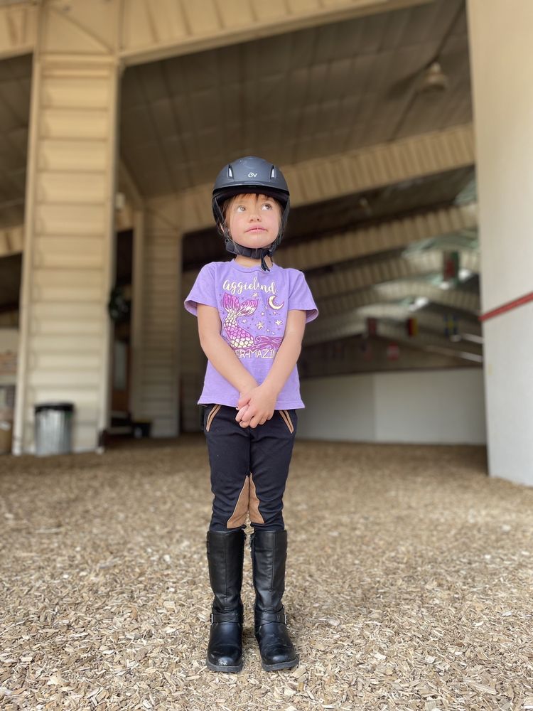 Aurum Equestrian - equestrian in Parker, CO