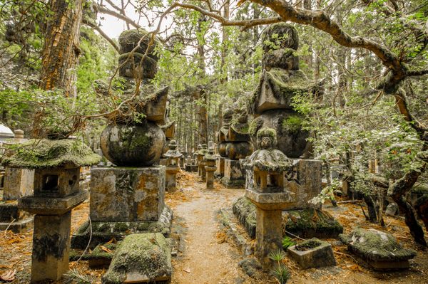 Okunoin Cemetery by null
