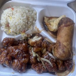 Lunch Special Togo Lunch Special Togo