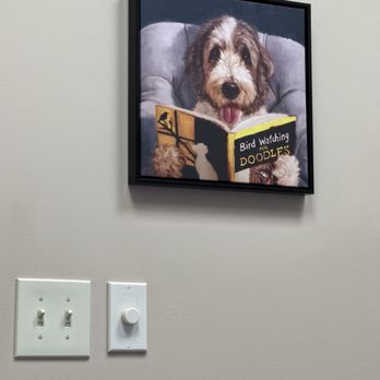 Army Trail Animal Hospital - Annual check up for our girl - Veterinarians Near Me - Bartlett, Illinois Army Trail Animal Hospital - Annual check up for our girl - Veterinarians Near Me - Bartlett, Illinois